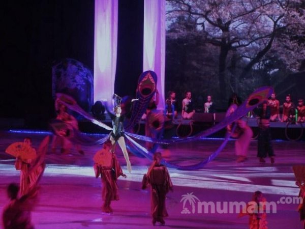 Тренер по фигурному катанию