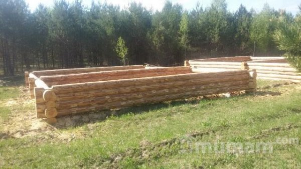 Срубы бань, домов от производителя