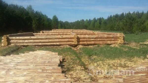 Срубы бань, домов от производителя
