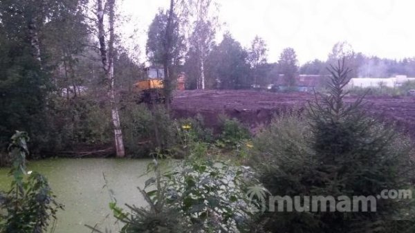Продам участок  16 сот.  , земли поселений (ИЖС)  , Приозерское шоссе  , 10 км до города