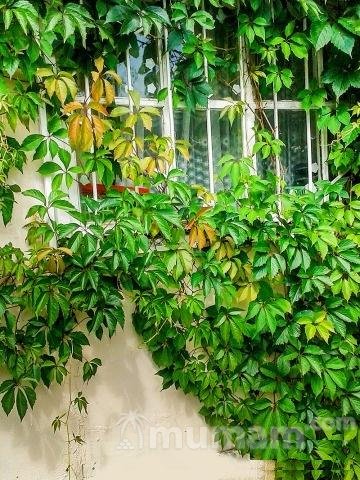 Продам  дачу     
2-этажный дом 54 м²  ( бревно )  на участке 6 сот.  , Симферопольское шоссе  , 3 км до города