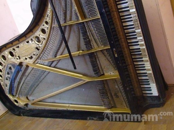 Настройка, ремонт, полировка пианино и роялей