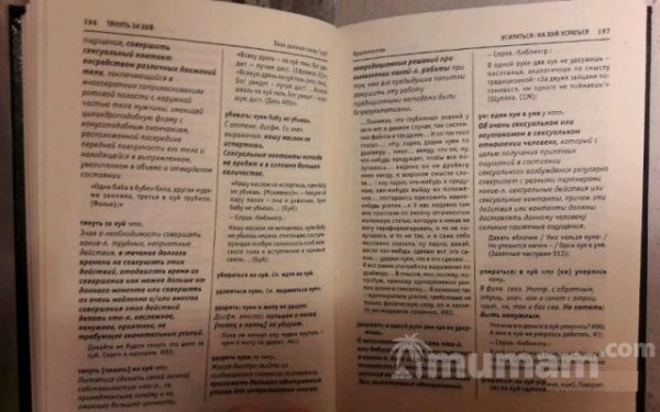 Подарок для мужчины. Словарь мата